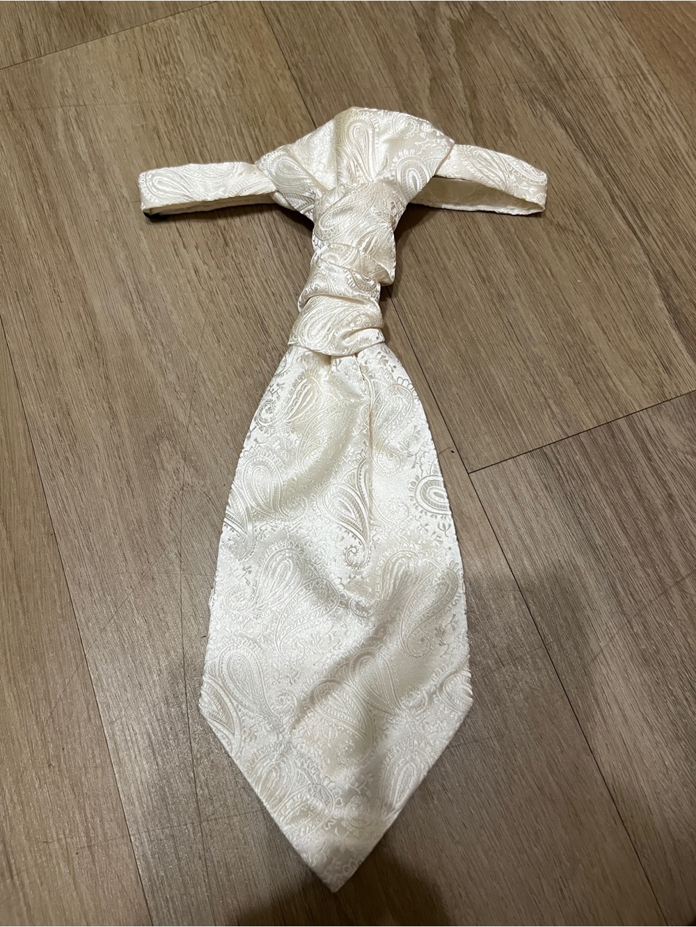 Cream Paisley Ascot Tie for Men